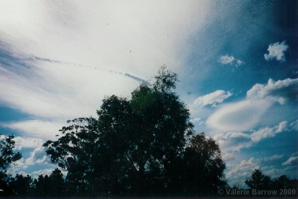 Serpent tail in the sky at Canyonleigh