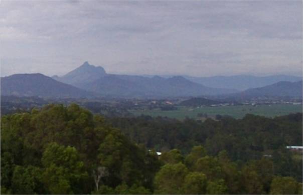 Widok przez kaldery na święte Wollumbin (Mt
                Warning)