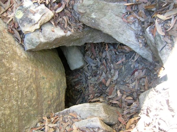 Air shaft said to lead to an ancient Egyptian tomb, filled in, at Kariong