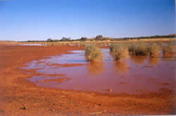 Lake Mungo National Park