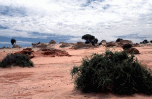 Lake Mungo National Park