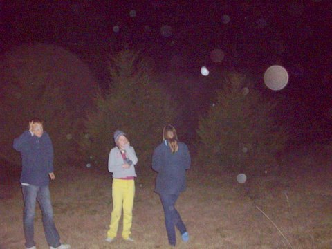 Orbs at Canyonleigh