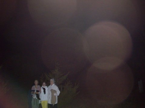 Orbs at Canyonleigh