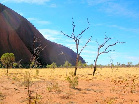 Orbs of light at Uluru